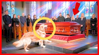 Dog breaks coffin at funeral and THE MYSTERY THAT HAS COME TO THE surface WILL SHOCK YOU [upl. by Ruffi]