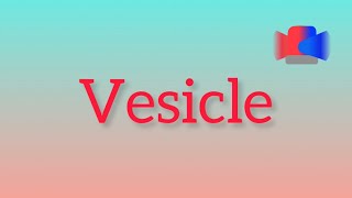 What is Vesicle [upl. by Grannias]