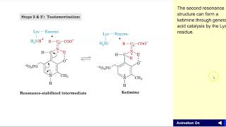 Transaminase mechanism [upl. by Cointon901]