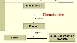 ThrombolyticsFibrinolytics DrugsStreptokinaseurokinaseAlteplaseReteplaseEACATranexamic acid [upl. by Varien948]