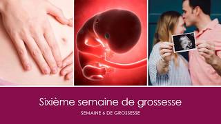 6 semaines de grossesse OU sixième semaine de grossesse [upl. by Nikita]