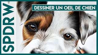 Speed drawing oeil de chien au crayon de couleur [upl. by Ogaitnas]