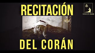 Recitación del Corán por Abdul Basit Español [upl. by Hpesojnhoj]