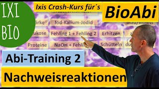 Nachweisreaktionen 1 Nachweis von Glukose Protein Eiweiß Stärke  Abiturtraining 2 Praxisteil [upl. by Nea]