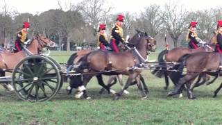 Kings Troop Royal Horse Artillery [upl. by Renmus]