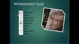 20 Ways to use the Blackboard Collaborate Whiteboard Katie Walker [upl. by Lupien]