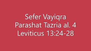 Torah Chanting  Sefer Vayiqra  Parashat Portion Tazria al 4 [upl. by Even]