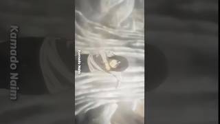 Eren Edit 🔥 shorts attackontittan anime [upl. by Motch]