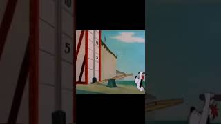 Looney tunes moments 😁 animation shorts [upl. by Anina]