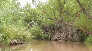 the verde river in camp verde arizona 18 [upl. by Eilama]