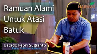 Resep Obat Batuk Herbal Paling Mujarab [upl. by Tihor945]