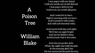 A Poison Tree by William Blake  Line by line Explanation [upl. by Acnairb]