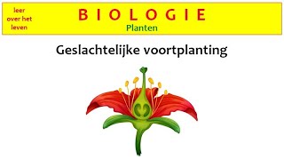 Biologie  Planten  Geslachtelijke voortplanting [upl. by Annahsohs]