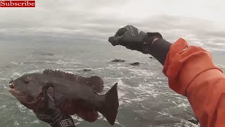 Tautog Surf Fishing Rhode Island [upl. by Genisia]