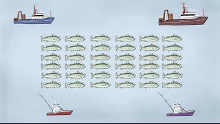 Fisheries Economics amp Policy Intro to Fisheries Management [upl. by Euqram]