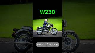 【カワサキ】新型W230登場！ [upl. by Arocet]