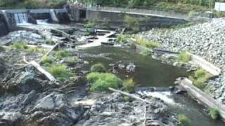 The Removal of Savage Rapids Dam [upl. by Miko771]