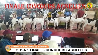 SALON DE LELEVAGE LADUMED 2024  FINALE CONCOURS AGNELLES [upl. by Moynahan]