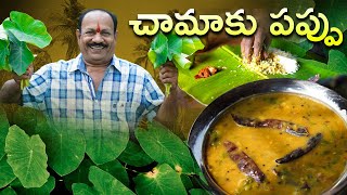 Chamaaku pappu How To Make Chamaku Pappu in Telugu  Taro Leaves dal [upl. by Andre]