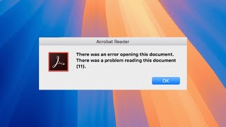 There Was A Problem Reading This Document PDF File On macOS [upl. by Eiznyl]