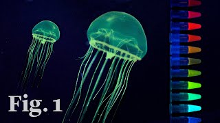 How glowinthedark jellyfish inspired a scientific revolution [upl. by Raffin]