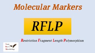 RFLP  Molecular Markers  Hindi [upl. by Ahsinod15]