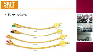 Upper Urinary Track Drainage [upl. by Narad769]