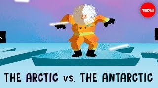 The Arctic vs the Antarctic  Camille Seaman [upl. by Virgil]