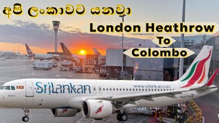 Sri Lankan Airlines Direct Flight From London Heathrow To Colombo Flight Review amp Airport Guide [upl. by Caddaric]