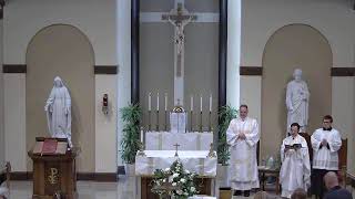 33rd Sunday in Ordinary Time 11172024 1030am Mass [upl. by Hoeve]