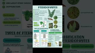 Pteridophytes  Plant kindgom  biology class11th plant  Manan Sachdeva  Bio Archives [upl. by Verina879]