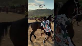 BLACK CAVIAR music BalapKuda horse quotes [upl. by Neellek]