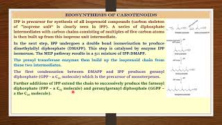 Biosynthesis of CarotenoidsIII  Dr Rohitashv Choudhary  M Sc Final  Botany [upl. by Lotti]