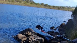 Fishing in merimbula back lake for bream flathead and eels [upl. by Eadie447]