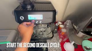 Complete Guide Descaling amp Cleaning Breville Barista Pro with Citric Acid amp Tablets [upl. by Julissa]