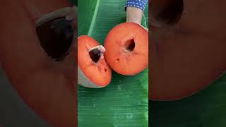 SAWO RAKSASA Mamey sapote [upl. by Idihc]