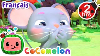 Le hoquet  Chansons pour Bébés  CoComelon Le coin des Animaux de JJ  Comptines [upl. by Lamok322]