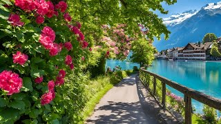 Peaceful Morning Walk in Swiss Town Interlaken Switzerland 🇨🇭Top Travel Destination [upl. by Shadow502]