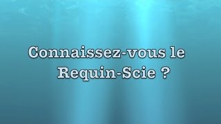 Scie musicale et requin  JeanClaude Welche [upl. by Nabi]