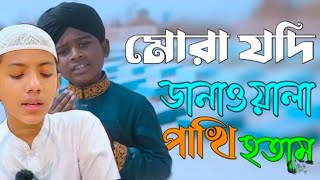 দোজাহানের বাদশা নবী কামলিওয়ালা রেdo jahan badshah nabi kamli wala re Islamic gojol bangla gazal [upl. by Nicolas]