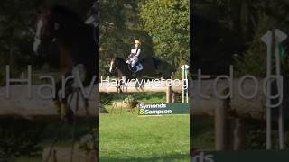 Did you notice the significant changes to the Bicton water complex equestrian eventing [upl. by Eerot]