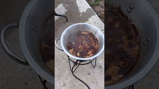 Amazing Carnitas cooked in lard [upl. by Thorsten]