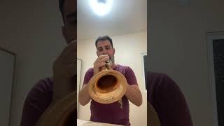 Estudos de FlugelHorn  JcCustom  Importante [upl. by Ormand782]