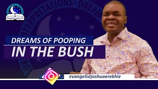 Dream About Pooping in the Bush  Find out the Biblical Meaning [upl. by Schenck]