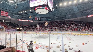 The Teddy Bear Toss 113024 Charlotte Checkers vs Idaho Wild [upl. by Flemings]