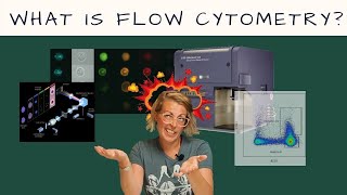 What is FLOW CYTOMETRY Intro to Flow Cytometry  Episode 1 [upl. by Rolyak]