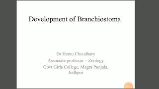 Development of Branchiostoma [upl. by Seftton135]