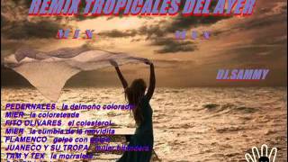 REMIX TROPICALES DEL AYER MIX DJ SAMMY [upl. by Nywled]