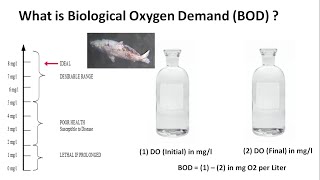 What is Biological Oxygen Demand BOD in Water   Importance of BOD in Effluent amp Sewage Treatment [upl. by Scribner]