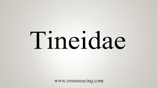 How To Say Tineidae [upl. by Shelden177]